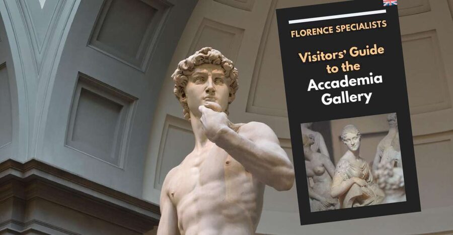 Florence: Timed Entry Ticket to Michelangelo's David & eBook - Michelangelo’s David in the main hall