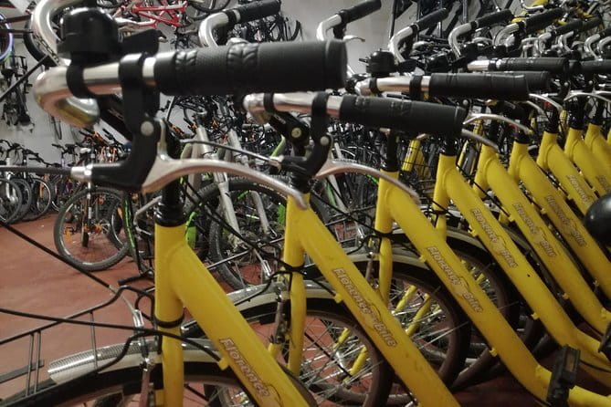 Florence treasures on a city bike - 1 day rental - - Starting at Via San Zanobi