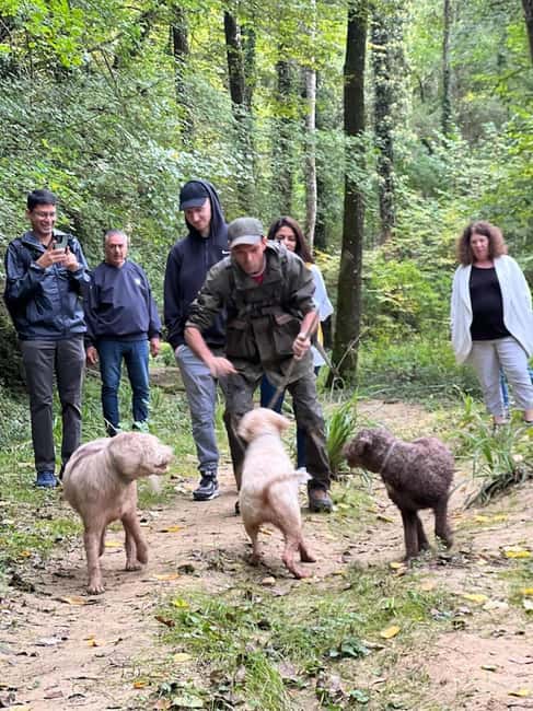 Florence: Truffle Hunt, San Gimignano, and Chianti Day Trip - Searching for truffles with Francesco and the dogs