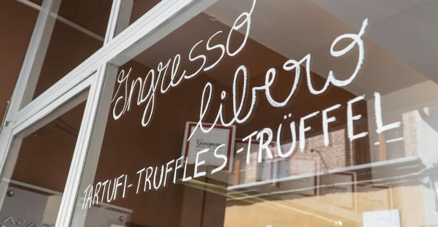 Florence: Truffle Hunting and Vinci with Lunch and Winery - Guides, language, and the human touch