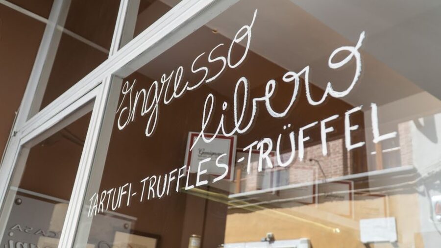 Florence: Truffle Hunting and Vinci with Lunch and Winery - Is nine hours too long?