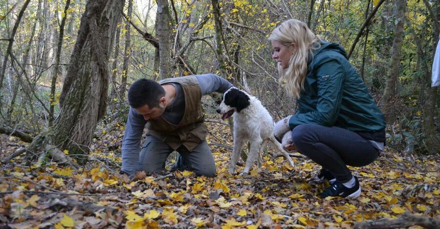Florence: Truffle Hunting, Lunch, and Wine Tasting Tour - Why San Miniato Makes Sense for a Truffle Day