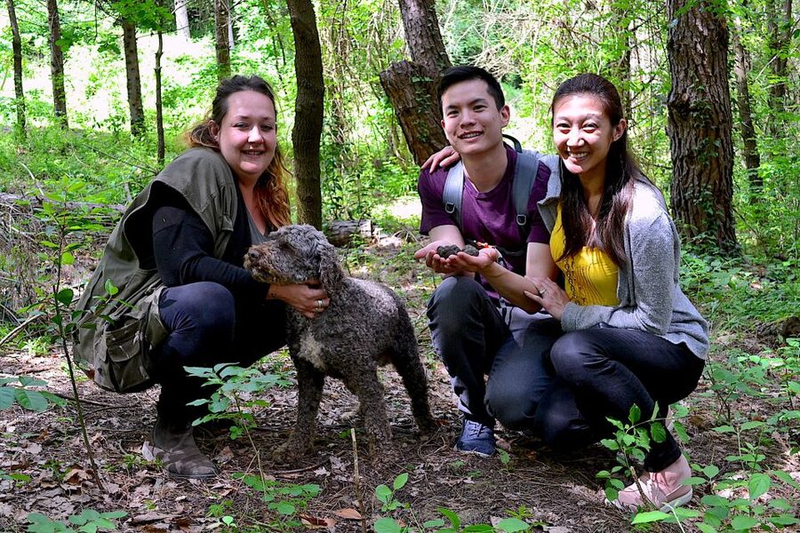 Florence: Truffle Hunting, Lunch, and Wine Tasting Tour - Should You Book the San Miniato Truffle Day?