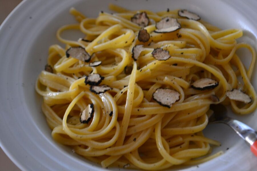 Florence: Truffle Hunting, Lunch, and Wine Tasting Tour - The One-Hour Ride From Florence