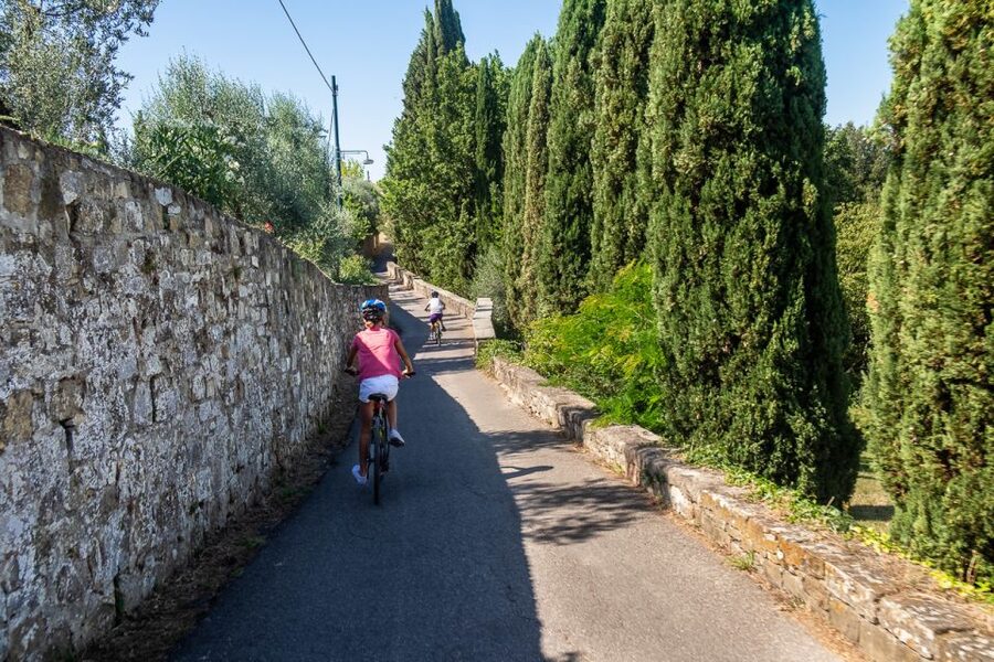 Florence: Tuscany Bike Tour with Wine & Olive Oil - Four hills, quiet roads, and open views
