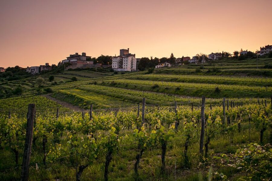 Florence: Tuscany Chianti Winery Private Day-Trip with Lunch - Key points to know before booking