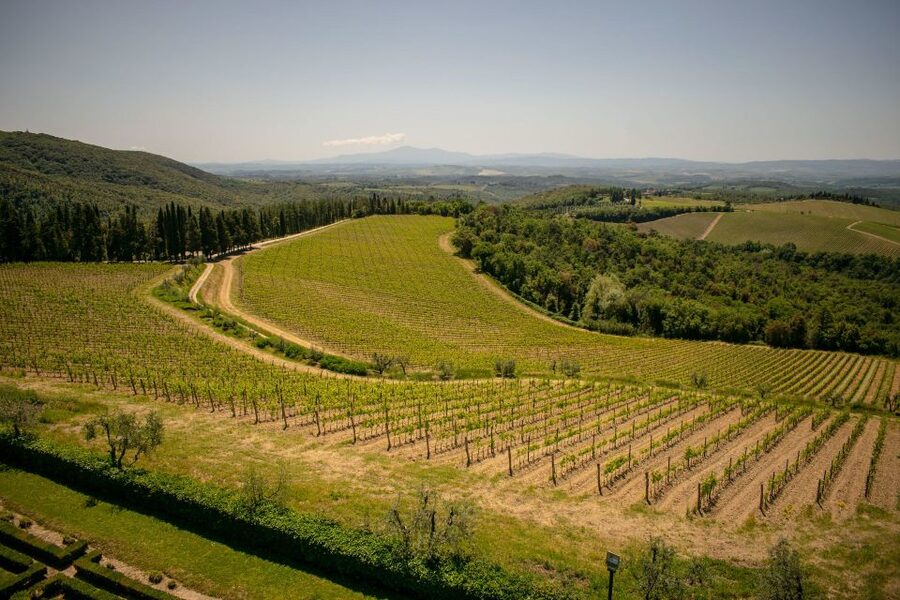 Florence: Tuscany Chianti Winery Private Day-Trip with Lunch - How the timing shapes the day