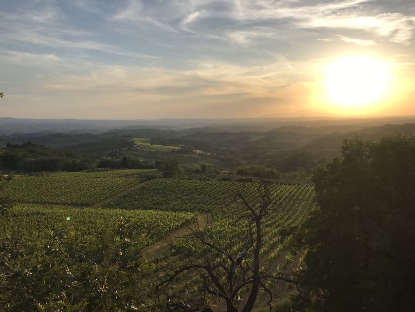 Florence: Tuscany Chianti Winery Private Day-Trip with Lunch - Who will get the most from this Chianti outing