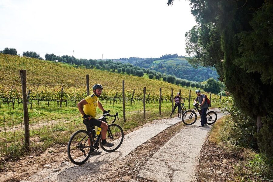 Florence: Tuscany Countryside Guided E-Bike Tour with Lunch - A Family Farm in Chianti Classico