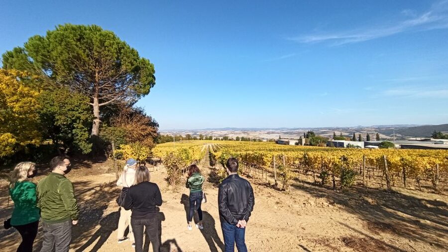 Florence: Valdorcia Wine, Brunello Montalcino, Montepulciano - What the guides and drivers add