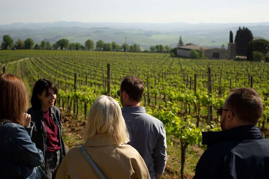 Florence: Valdorcia Wine, Brunello Montalcino, Montepulciano - The drive from Florence into the hills