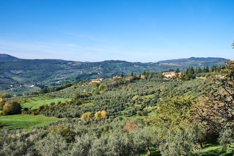 Florence: Vintage Fiat 500 Tour with Wine Tasting at Winery - Fifty-five minutes on quiet Tuscan roads