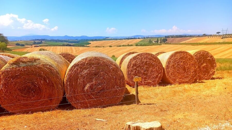 Florence: Volterra & San Gimignano Wine Tour with Lunch - The Chianti road and Tuscan views