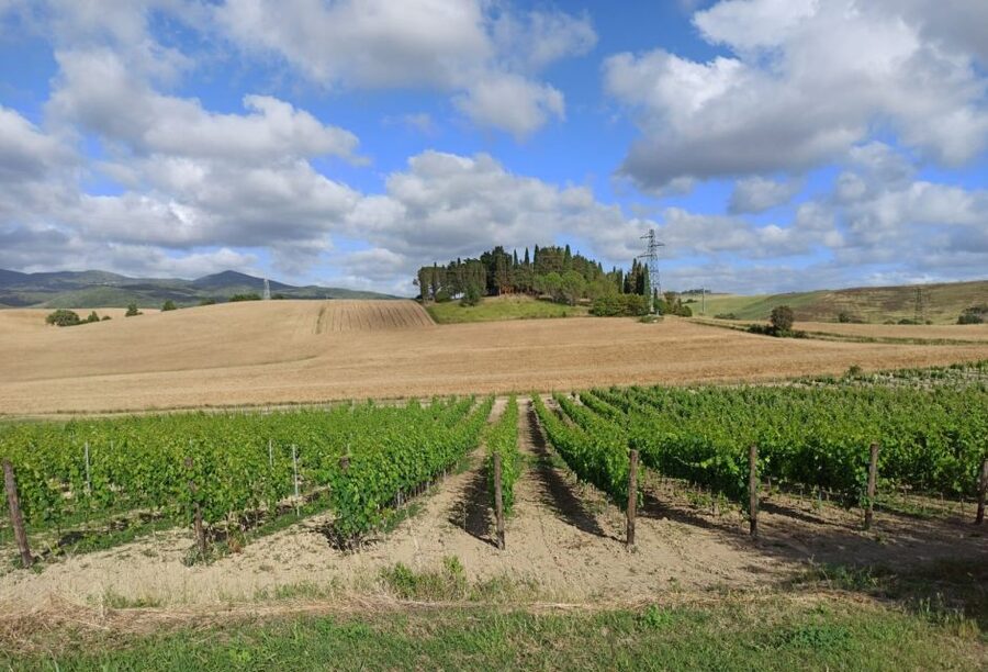 Florence: Volterra & San Gimignano Wine Tour with Lunch - Volterra: an Etruscan hill town with Roman remains