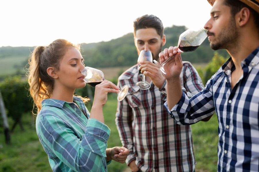 Florence: Wineries, Tastings, Lunch & San Gimignano Day Trip - Should you book it?