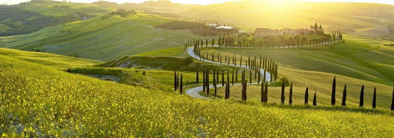 From Firenze | Chianti day tour in a classic car - Radda in Chianti and the Two-Hour Midday Break