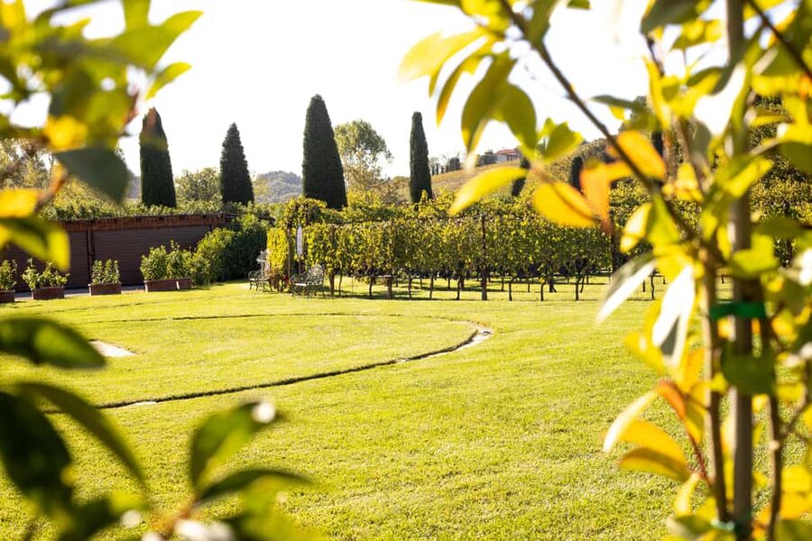 From Florence: Chianti Half-Day Afternoon Tour - First stop: Poggio ai Laghi and the fuller tasting