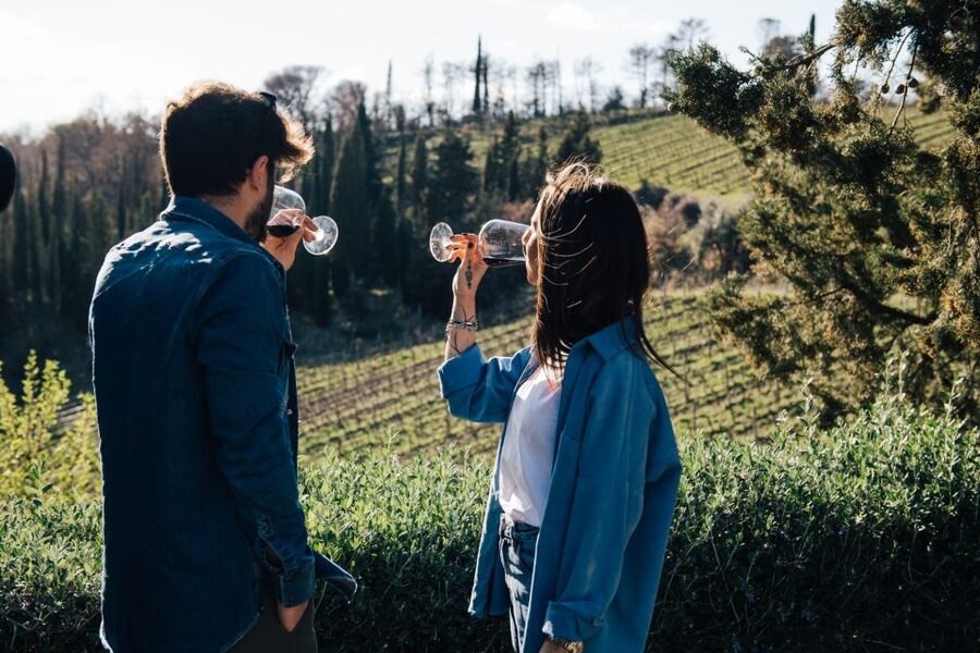 From Florence: Chianti Hills Half-Day Tour with Wine Tasting - Key points to know before you book