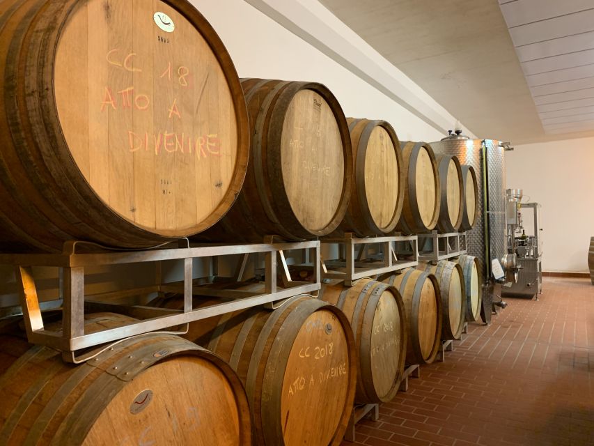 From Florence: Chianti Hills Half-Day Tour with Wine Tasting - A quick look at Radda, Greve or another hill town