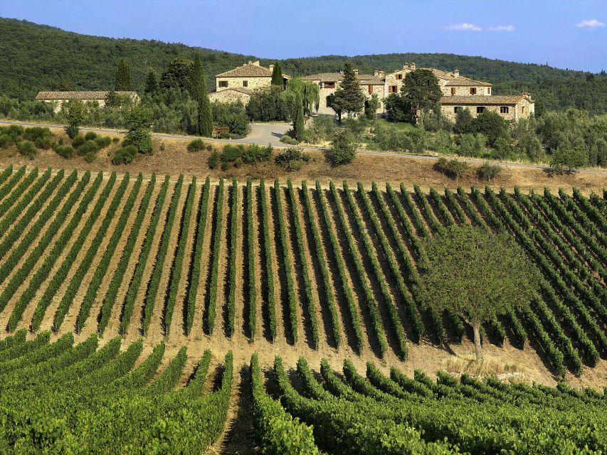 From Florence: Chianti, Montalcino & Montepulciano - Minivan - Montalcino town, fortress views and narrow lanes