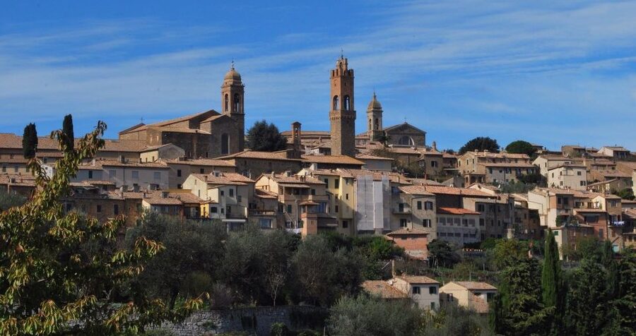 From Florence: Chianti, Montalcino & Montepulciano - Minivan - What the $328.53 price really covers