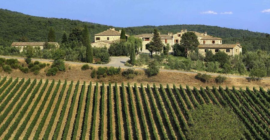From Florence: Chianti, Montalcino & Montepulciano - Minivan - Guide style can shape the whole day