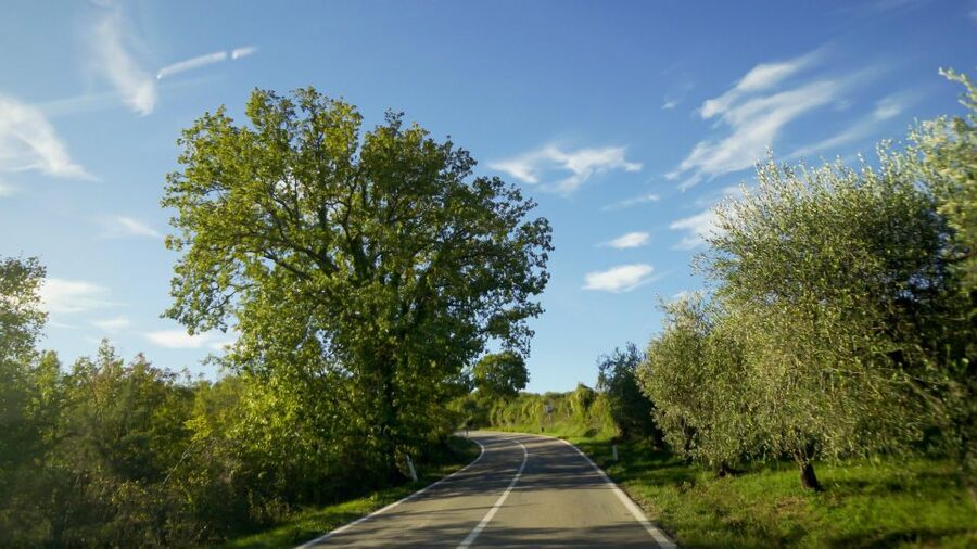 From Florence: Chianti, Montalcino & Montepulciano - Minivan - Monteriggioni and the road through the Crete Senesi