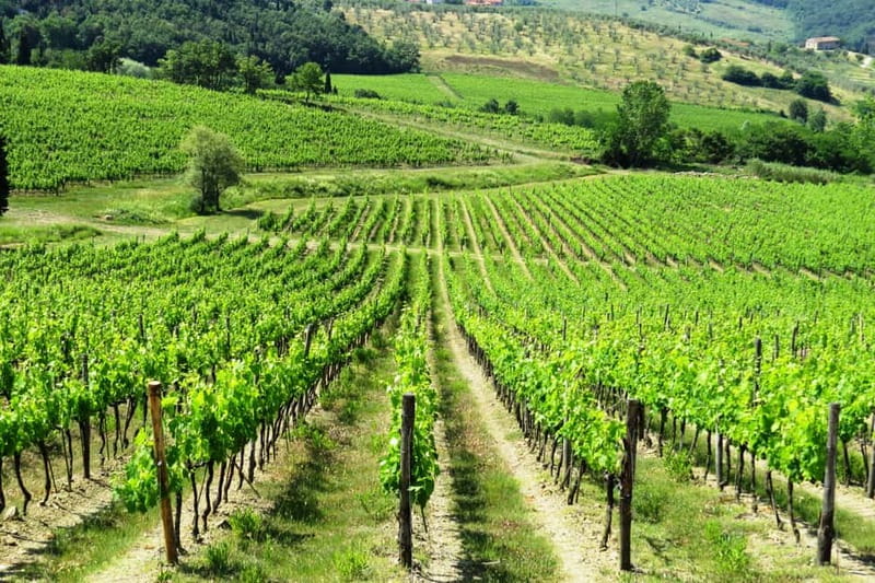 From Florence: Chianti Self-Guided Vespa Tour with Lunch - Riding an electric Vespa through the Chianti hills
