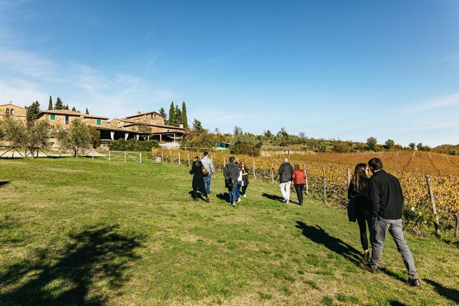 From Florence: Chianti Wine and Food Tasting Safari - Who should book this Chianti safari