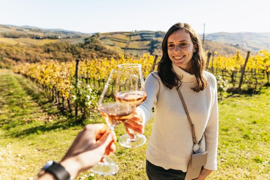 From Florence: Chianti Wine and Food Tasting Safari - Wine, food, and the value of the $254.89 price