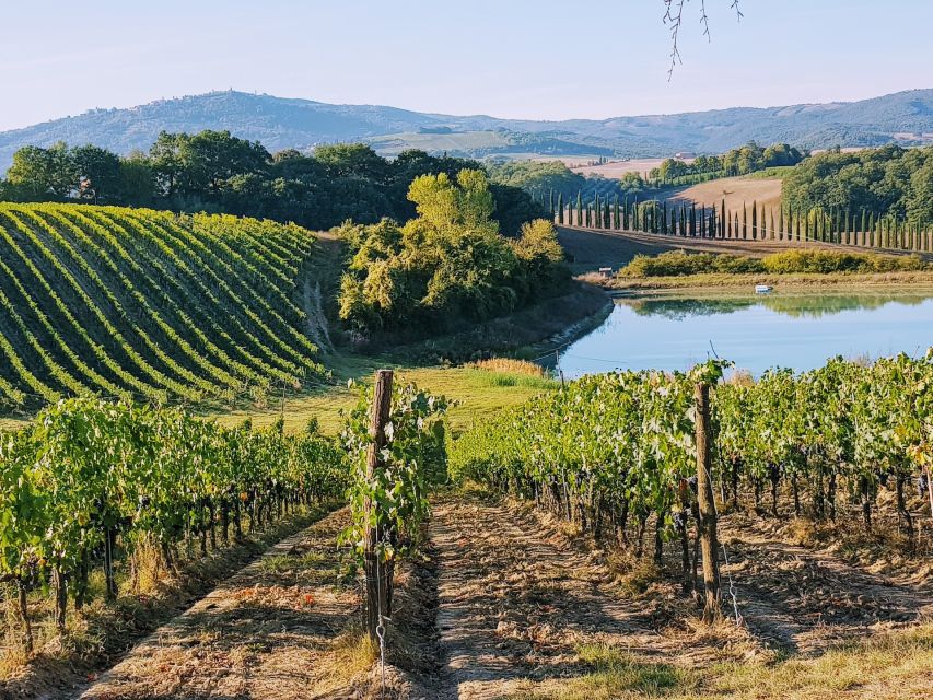 From Florence: Chianti Wine Tastings at Sunset Day Trip - Key points to know before you book