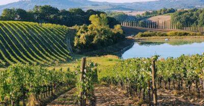 Chianti Wine Tastings at Sunset Day Trip