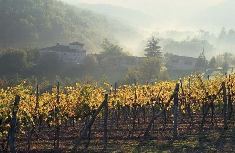 From Florence: Chianti Wine Tour with Driver-Guide - Key points to know before booking