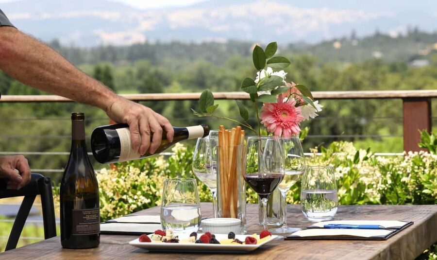 From Florence: Chianti Wine Tour with Driver-Guide - Panzano and the first winery tasting