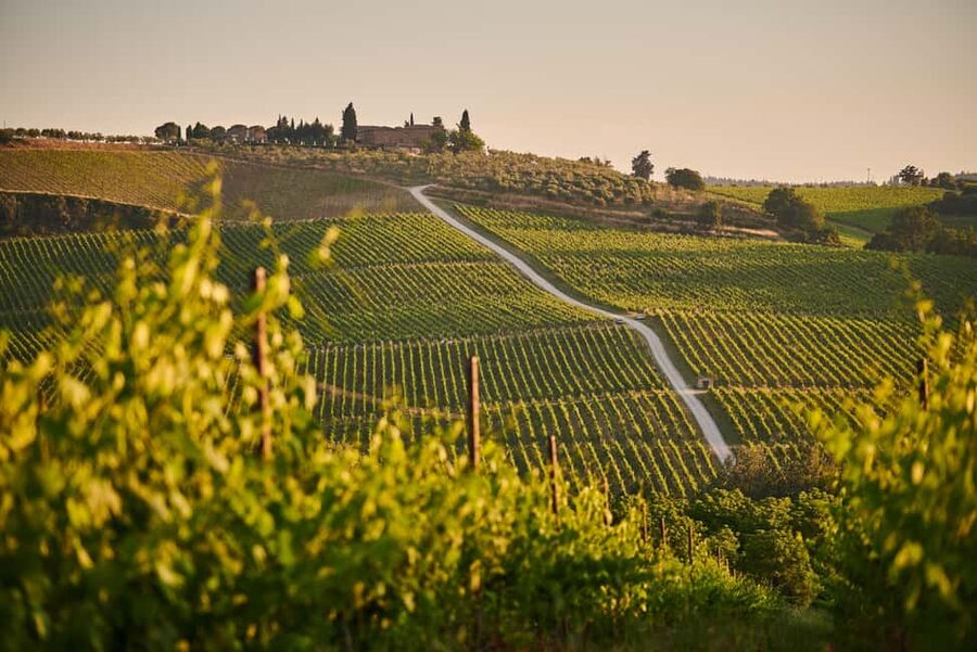 From Florence: Chianti Wine Tour with Driver-Guide - Lunch choices, from trattoria to family cellar