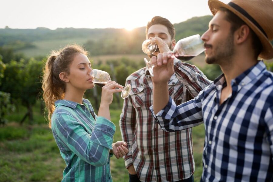 From Florence: Chianti Wine Tour with Tasting - Who should book this Chianti tour?