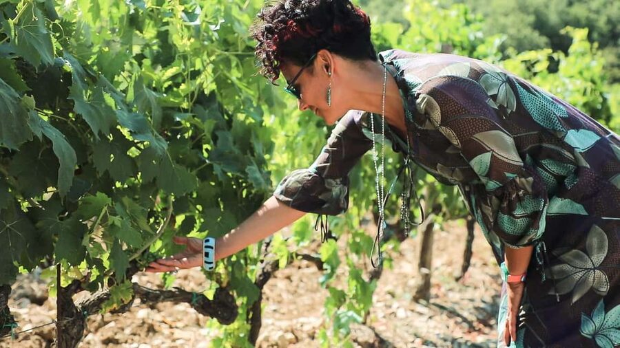 From Florence: Chianti Wine Tour with Tastings - What makes this Chianti outing worth your time