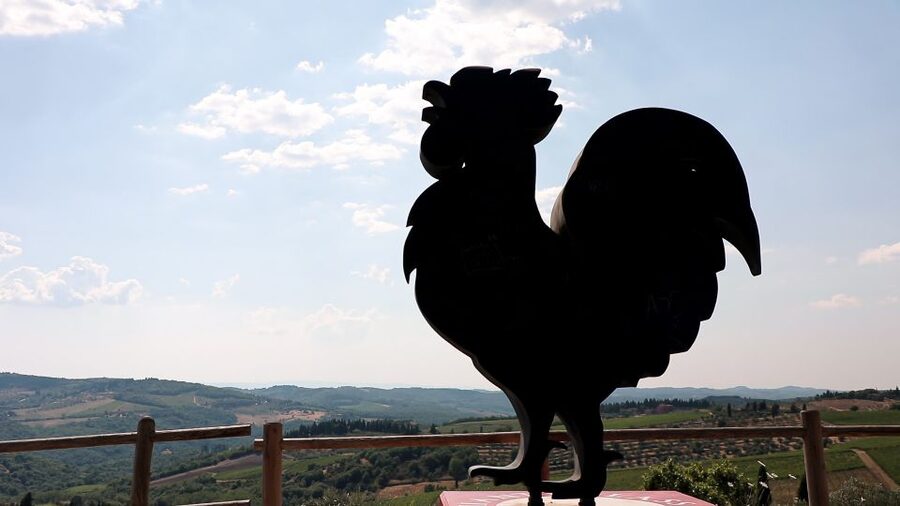 From Florence: Chianti Wine Tour with Tastings - What you will taste, and how much