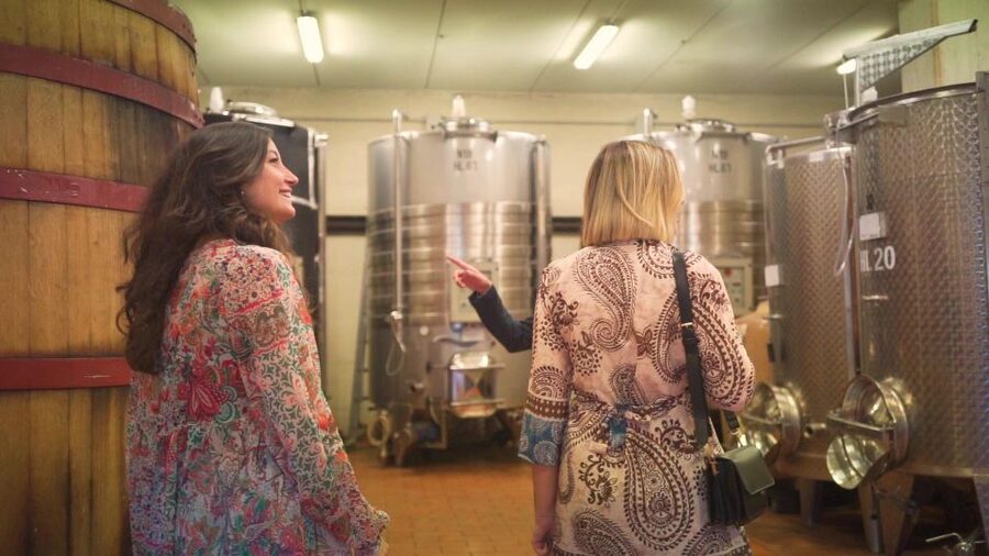 From Florence: Chianti Wine Tour with Tastings - Practical details that can shape your day
