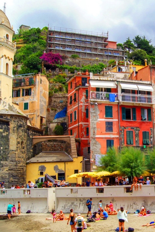 From Florence: Cinque Terre guided tour with Lucca - Vernazza, Lunch, and Time by the Harbor