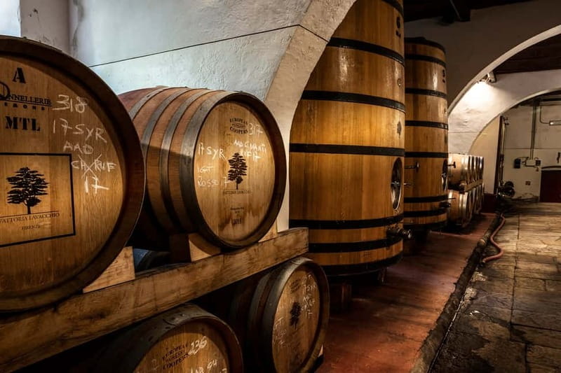 From Florence: Horse Ride and Wine Tour at Estate with Lunch - Riding for 1.5 hours through vineyards and olive groves