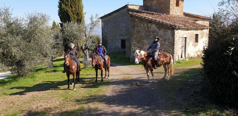 From Florence: Horse Ride and Wine Tour at Estate with Lunch - Who should book this Florence horse ride?