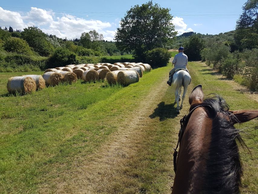 From Florence: Horseback Ride and Olive Oil and food tasting - Key points to know before booking