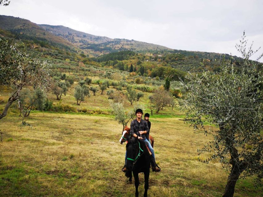 From Florence: Horseback Ride and Olive Oil and food tasting - Riding through vineyards and olive groves