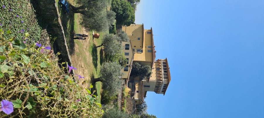 From Florence: Horseback Ride and Olive Oil and food tasting - Touring a historic olive oil estate