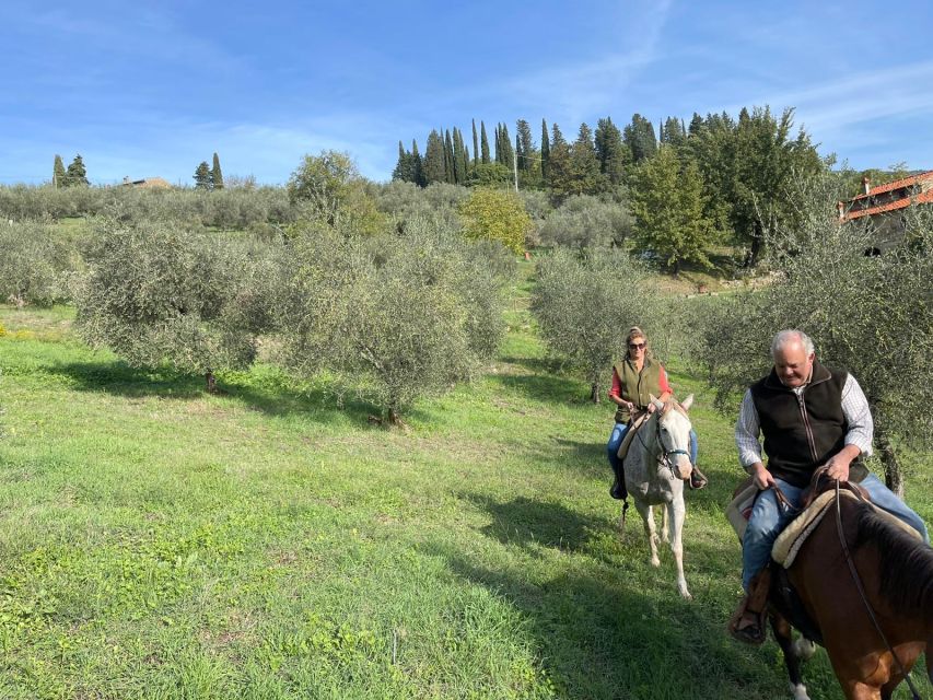 From Florence: Horseback Ride and Olive Oil and food tasting - What the $377 price means