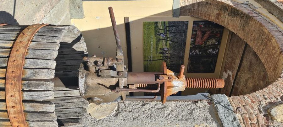 From Florence: Horseback Ride and Olive Oil and food tasting - Practical tips for a smoother day