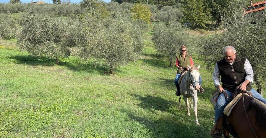 From Florence: Horseback Ride and Olive Oil and food tasting - Choosing a horse and preparing for the trail
