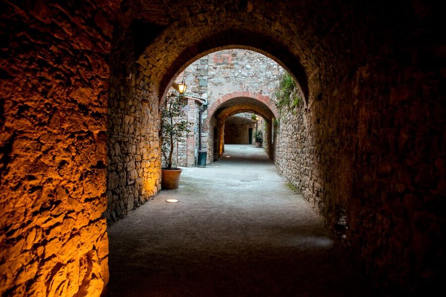 From Florence: Private Chianti Hills Tour with Tasting - The countryside winery: grapes, barrels, and a second tasting
