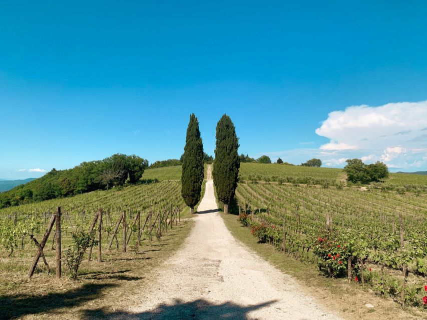 From Florence: Private Chianti Hills Tour with Tasting - A private tour, but not necessarily a private-feeling day